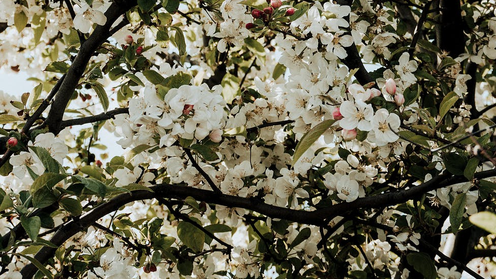pexels-photo-3789853